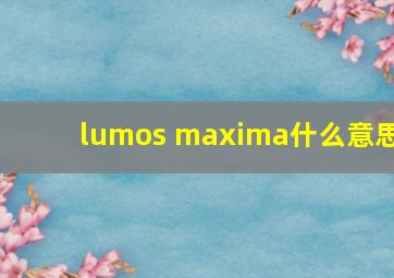 lumos maxima什么意思